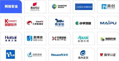 第十届中国(西部)电子信息博览会即将开启，上海网络与信息安全软件展现创新实力